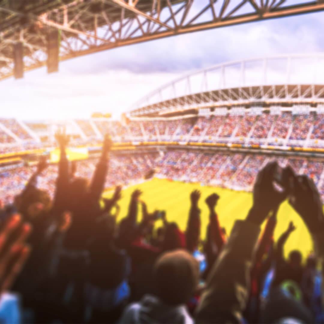 Odgers Berndtson - aficionados en un estadio celebrando un gol con la luz del sol de fondo